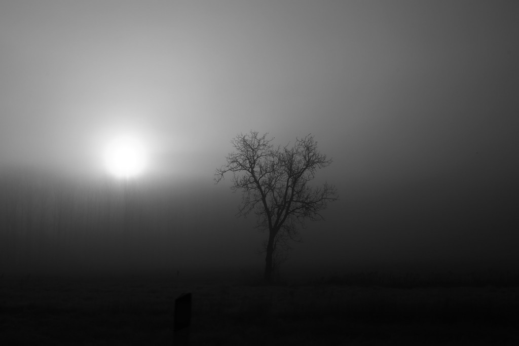 fog-1120935_1920